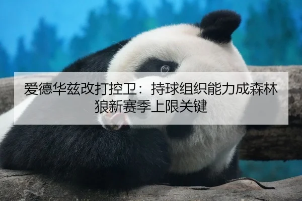 ai-de-hua-zi-gai-da-kong-wei-chi-qiu-zu-zhi-neng-li-cheng-sen-lin-lang-xin-sai-ji-shang-xian-guan-jian-2-236.jpg